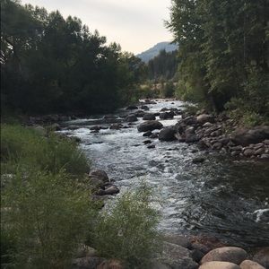 Meet your Posher, Emma